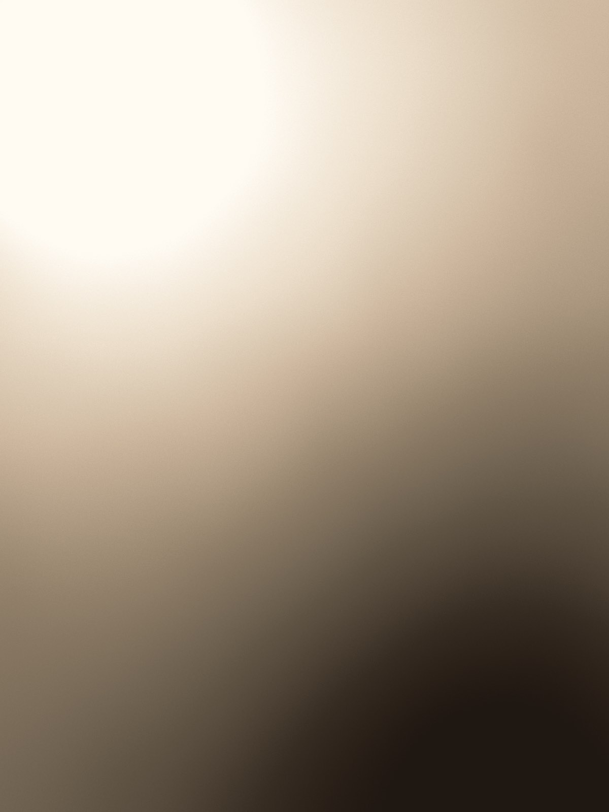 A drawn placeholder plate: early window light filling a room from the upper left, one soft shadow settling at the lower right.